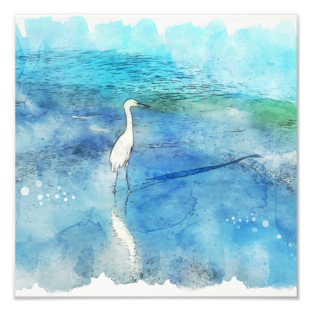 Tropiskt persikor i Teal Aqua Turcoise Blue med Wh Fototryck (Framsidan)