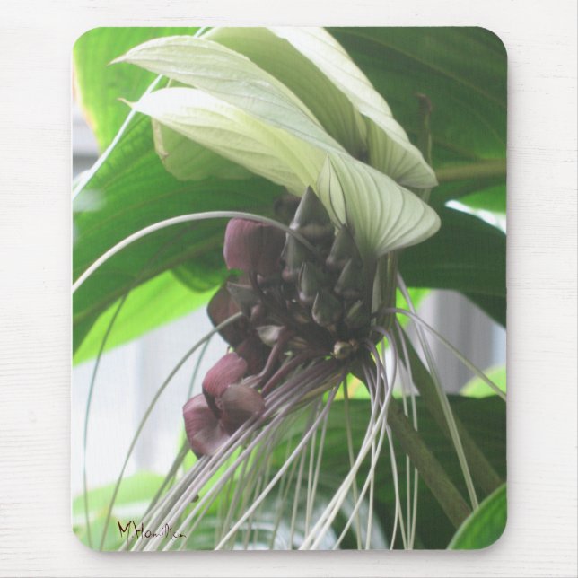 Tropiskt planteringsfoto Mousepad Musmatta (Framsidan)