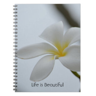 Tropiskt Plumeria-blomma Kauai (min fotografering) Anteckningsbok