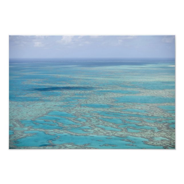 Tropiskt rev, Great Barrier Reef, Queensland, Fototryck (Framsidan)