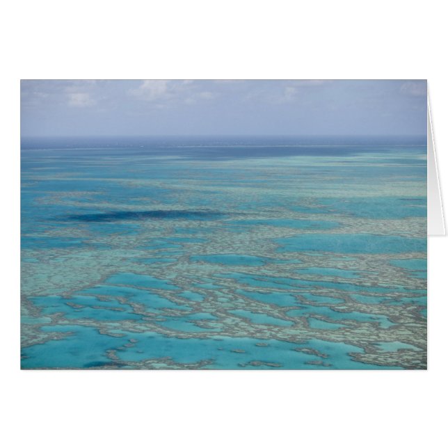 Tropiskt rev, Great Barrier Reef, Queensland, Hälsningskort (Framsidan Horizontal)