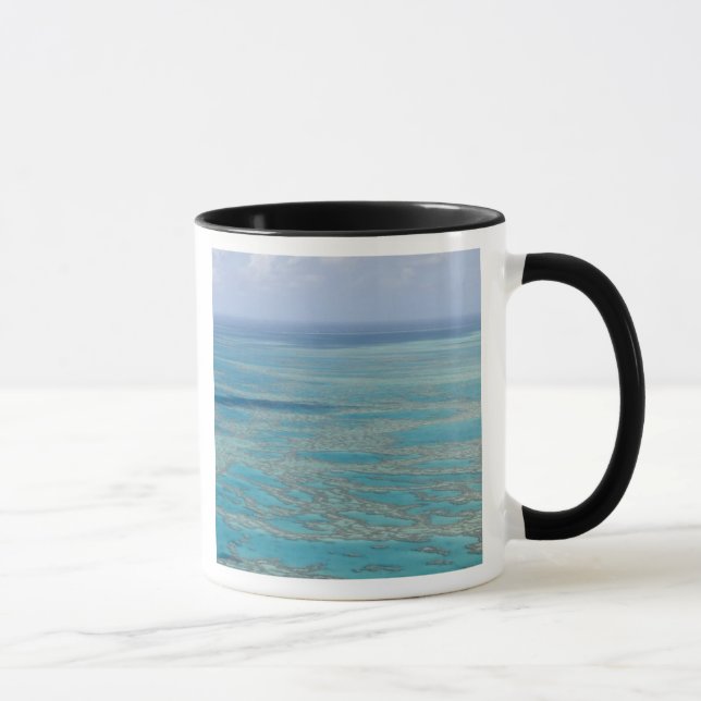 Tropiskt rev, Great Barrier Reef, Queensland, Mugg (Höger)