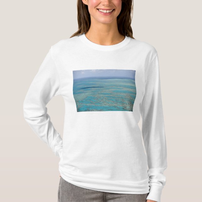 Tropiskt rev, Great Barrier Reef, Queensland, Tee (Framsida)