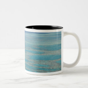 Tropiskt rev, Great Barrier Reef, Queensland, Två-Tonad Mugg
