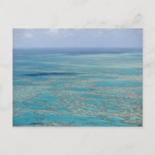 Tropiskt rev, Great Barrier Reef, Queensland, Vykort