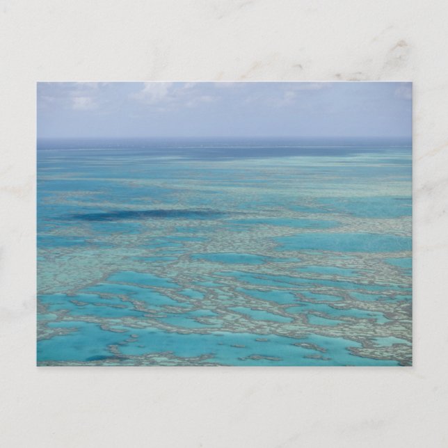 Tropiskt rev, Great Barrier Reef, Queensland, Vykort (Framsida)