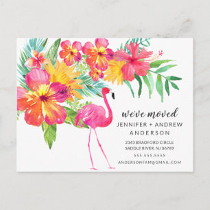 Tropiskt Rosa Flamingo Flytta Announcement Meddelande Vykort
