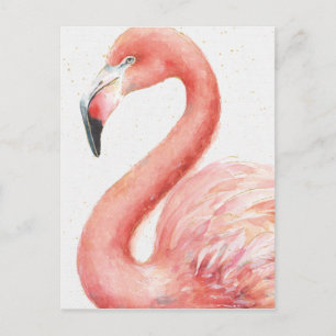 Tropiskt Rosa Flamingo Vykort