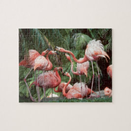 Tropiskt Rosa Flamingos-familjens tysta Roligt Pussel
