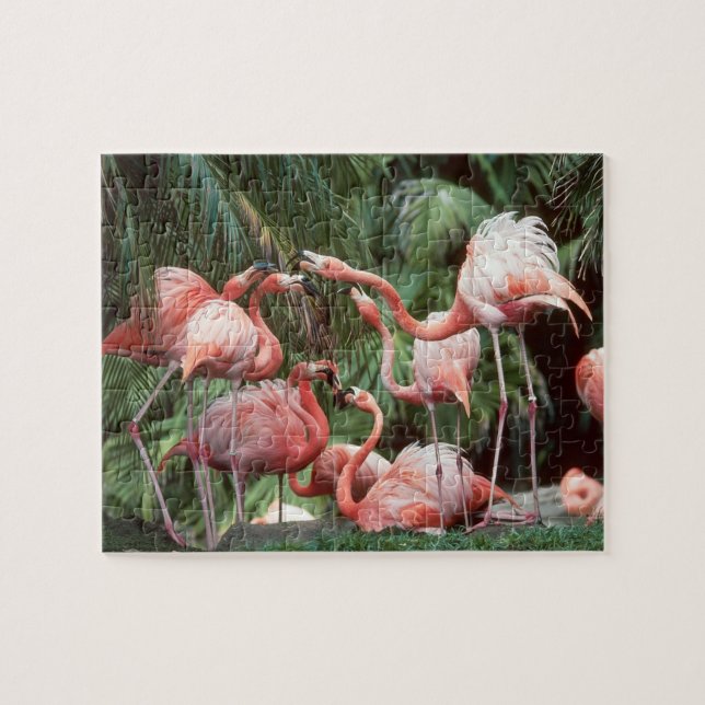Tropiskt Rosa Flamingos-familjens tysta Roligt Pussel (Horisontell)
