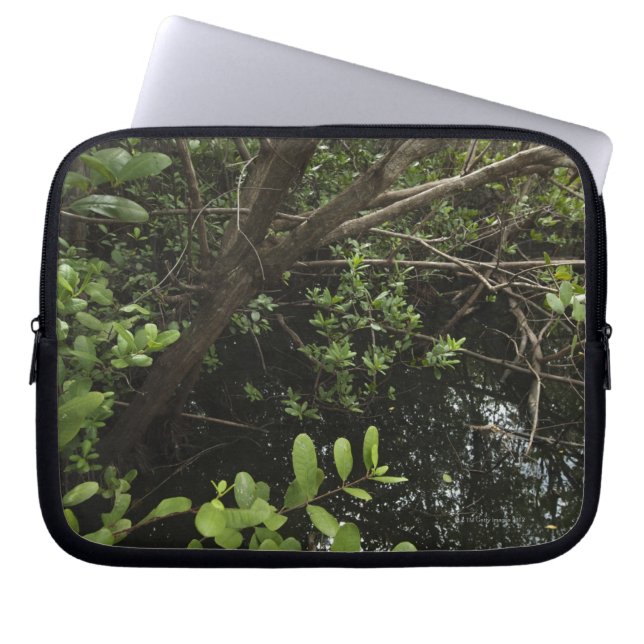 Tropiskt salt damm laptop sleeve (Framsidan)
