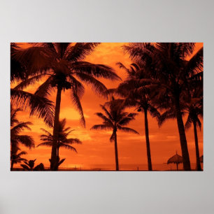 Tropiskt solnedgång Sommardesign Handflatan Träd i Poster
