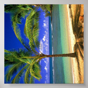 Tropiskt strandparadis poster