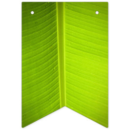 Tropiskt tema. Banana Lämnar. Vimplar