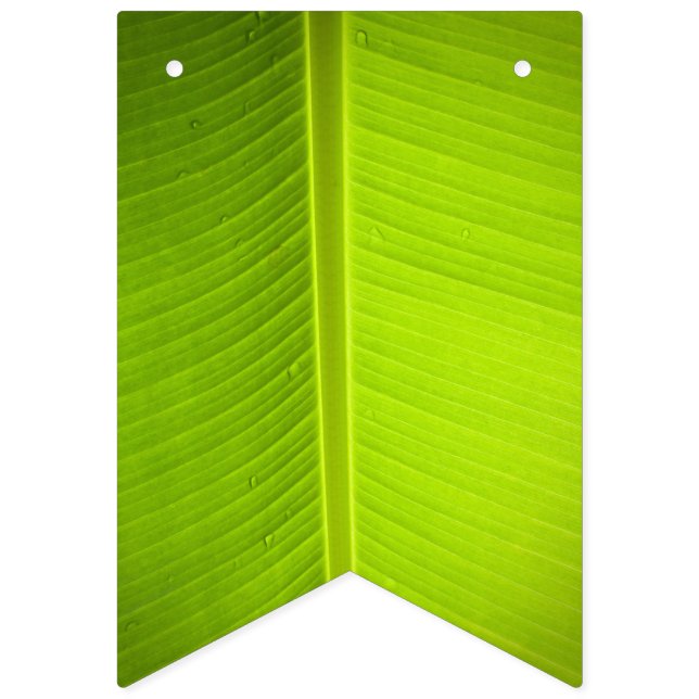 Tropiskt tema. Banana Lämnar. Vimplar (Första flaggan)