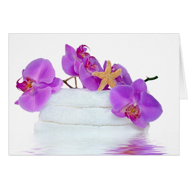 Tropiskt timeout OBS kort (Framsidan Horizontal)