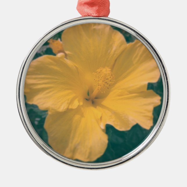 Tropiskt Tittar blomma Julgransprydnad Metall (Framsidan)