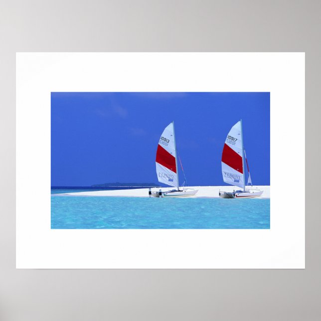 Tropiskt utfall Poster (Framsidan)