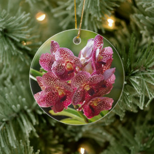Tropiskt Vanda Orchid-kluster Julgransprydnad Keramik