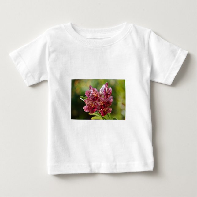 Tropiskt Vanda Orchid-kluster Tee (Framsida)