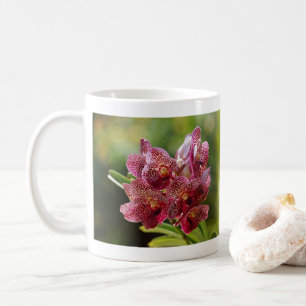 Tropiskt Vanda-Orkidékluster Kaffemugg