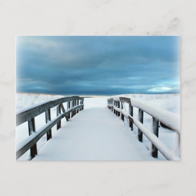 Tropiskt vinter vykort (Framsida)