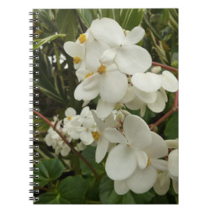 Tropiskt vit Begonia Blomster Anteckningsbok Med Spiral