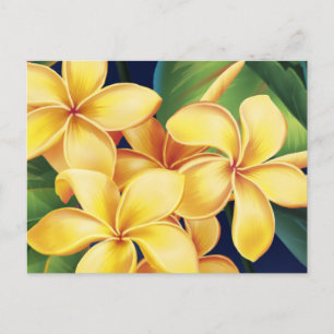 Tropiskt vykort för paradise Plumeria