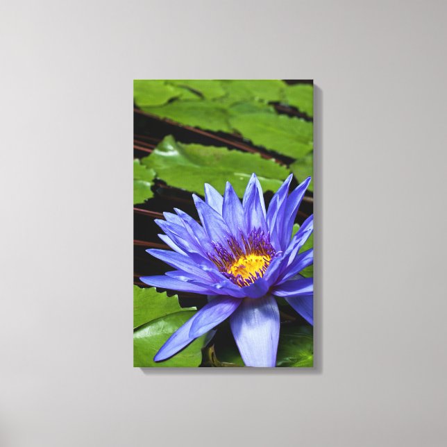 Tropiskt Waterlily Wrapped Canvas (Framsida)