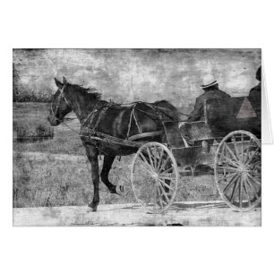 Trot Away Amish Horse in Black and White Hälsningskort
