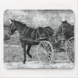 Trot Away Amish Horse in Black and White Musmatta
