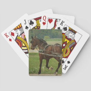 Trot hemma kortlek