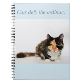 "Trotsar katter den Phoebe för det vanliga" Anteckningsbok