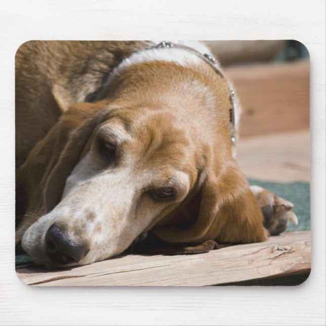 trött bassethund musmatta (Framsidan)