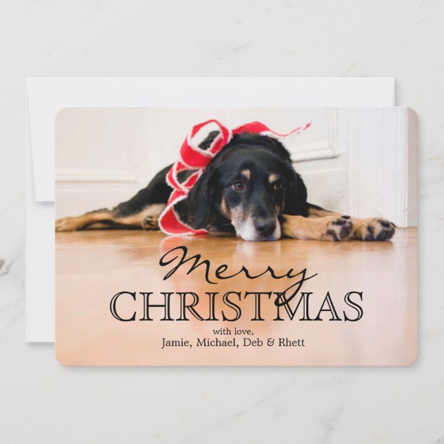 Trött hund med julrosett band julkort (Framsida)