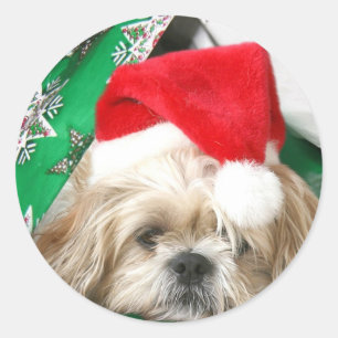 Trött jul Shih Tzu Runt Klistermärke