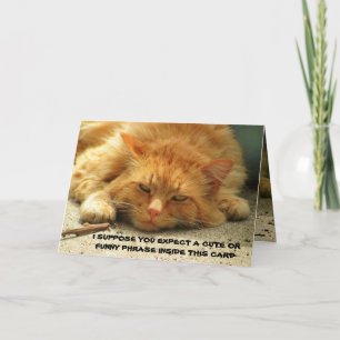 Trött Kattunge vill att du Avslutar hans kort