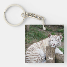 Trött Sömnig vit tiger som sätter på Träd-loggar