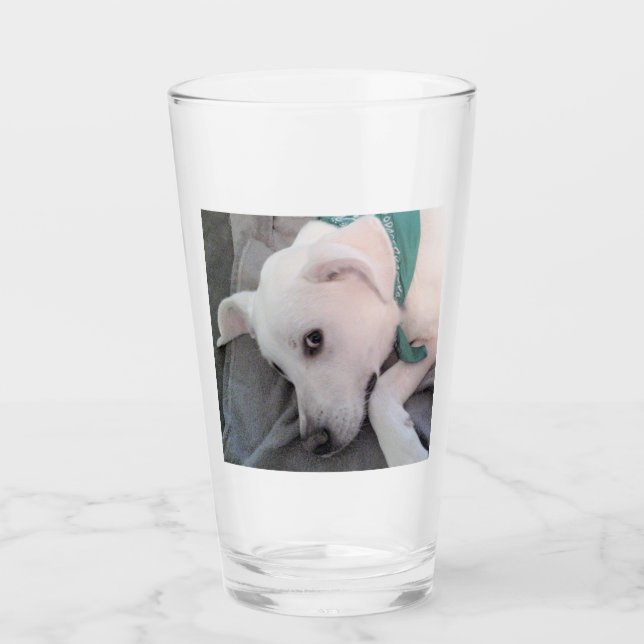 Trött St patricks day, Grönt för Hund Glaskopp (Framsida)