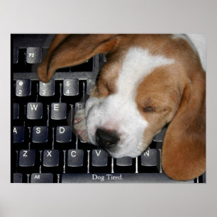 Tröttad hund poster