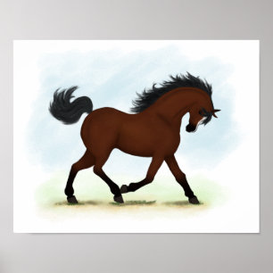 Trotting Bay Horse med Blaze Equestrian Poster