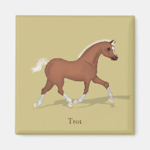 Trotting Sorrel Foal Gaits of the Horse