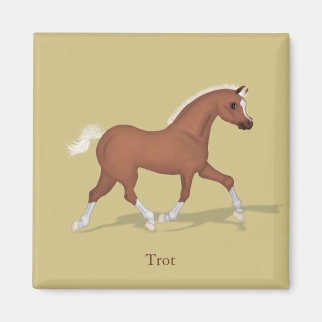 Trotting Sorrel Foal Gaits of the Horse Magnet (Framsidan)