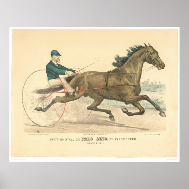 Trotting stallion Palo Alto by Electioneer (1791A) Poster (Framsidan)