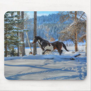 Trottingstift Färgstallion & Winter Snö Musmatta