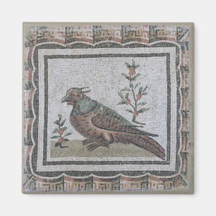 Trottoar som visar en pheasant magnet