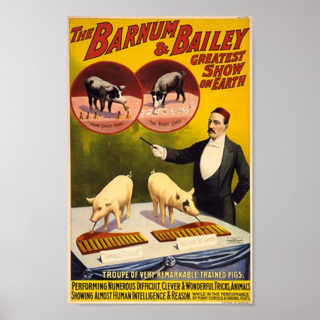Troupe of Remarkable Traed Grisar Circus Poster (Framsidan)