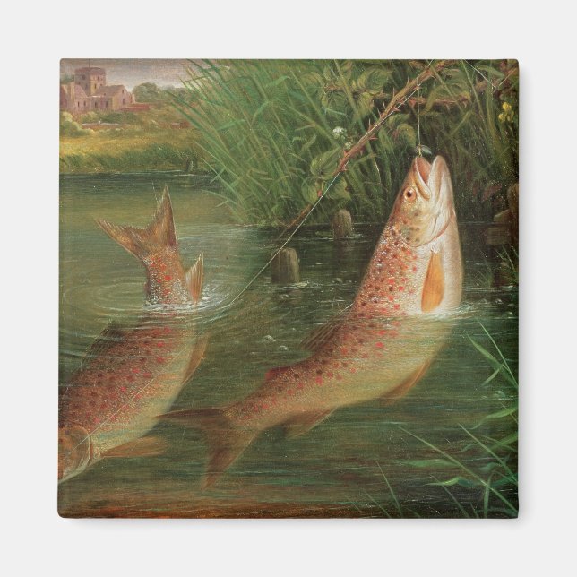 Trout at Winchester Magnet (Framsidan)