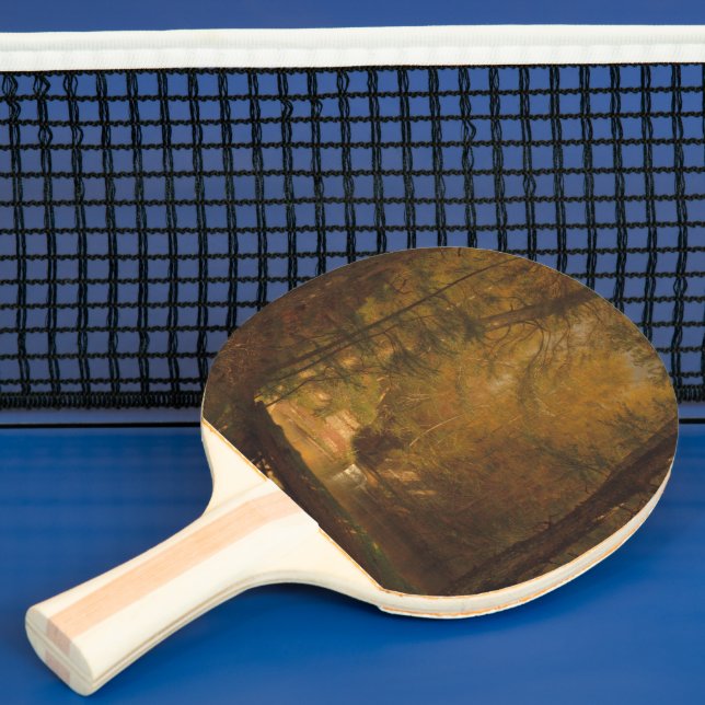 Trout Bassäng (1870) Artwork - Ping Pong Paddle Pingisracket (Insitu)