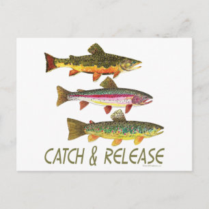 Trout Catch and Release Vykort